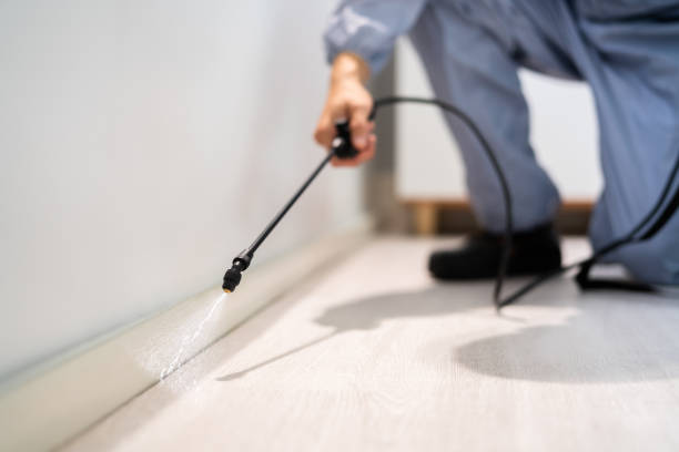 Licensed Termite Control service in Salisbury, NC - Nex Pest Control