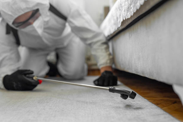Professional Termite Control technician working in Salisbury, NC