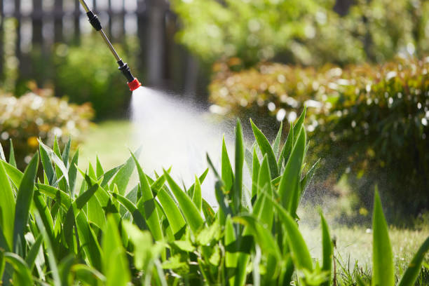 24/7 Emergency Termite Control experts in Salisbury, NC