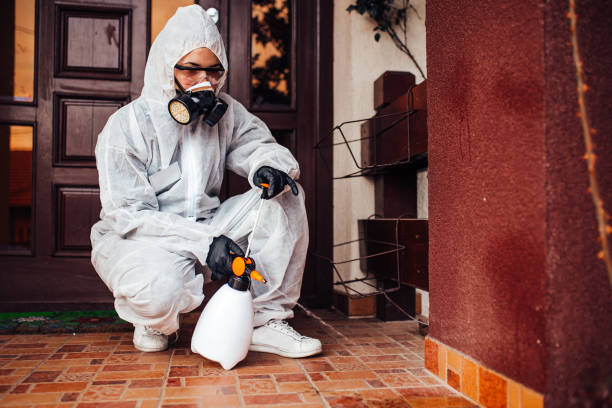 Reliable Termite Control contractor in Salisbury, NC by Nex Pest Control