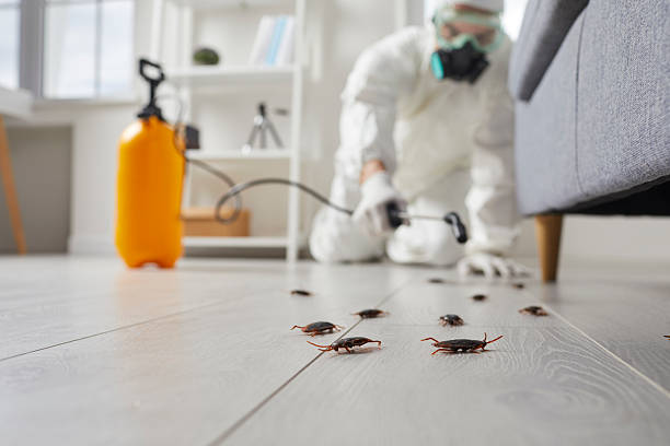 Trusted Cockroach Control service in Salisbury, NC - Nex Pest Control