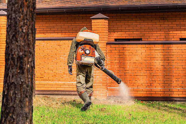 Trusted Mosquito Control service in Salisbury, NC - Nex Pest Control